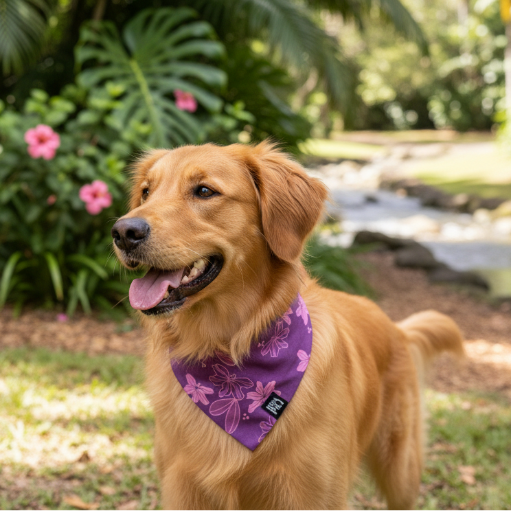 Hoa Pili Bandana